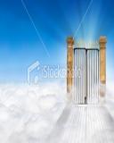 Heavenzg8